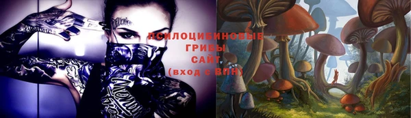 тгк Вязники