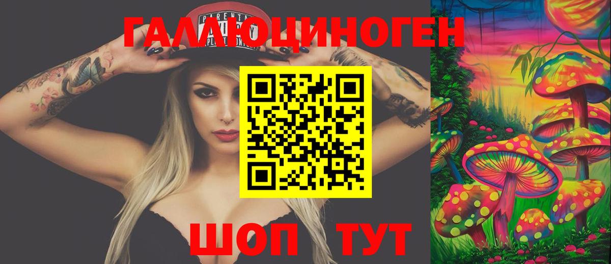 Псилоцибиновые грибы Psilocybe Мариинск